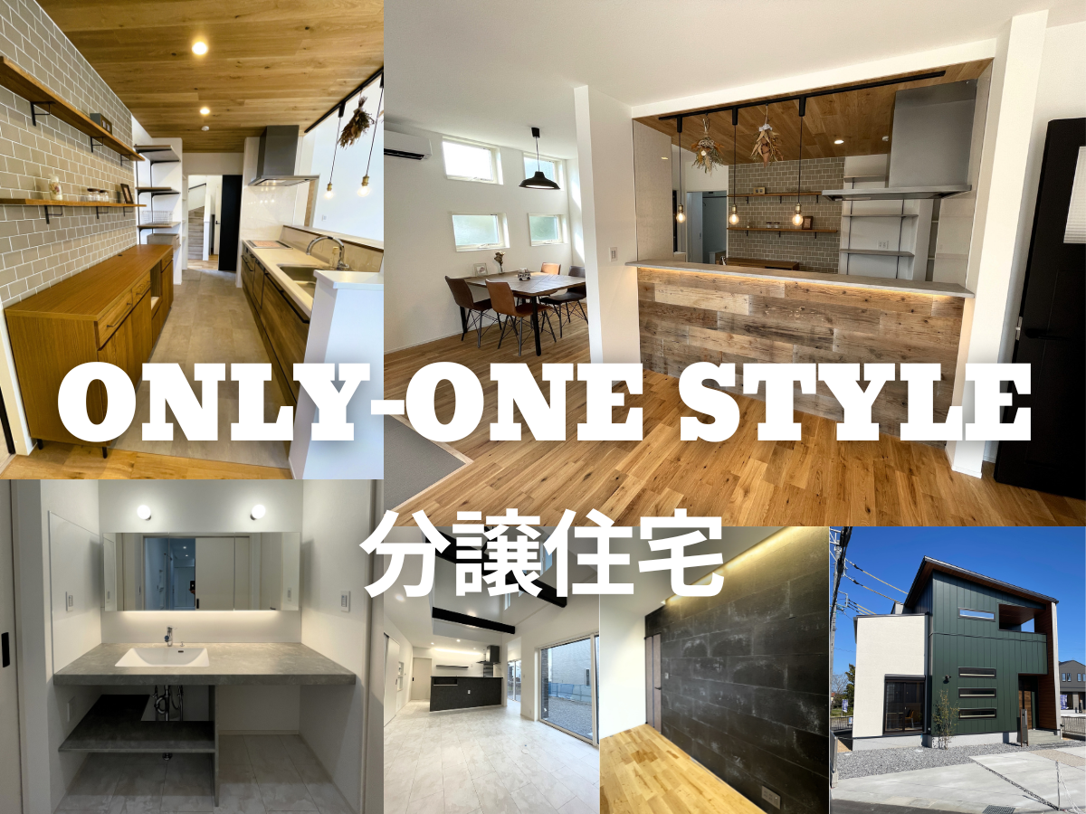 ONLY-ONEスタイル分譲住宅